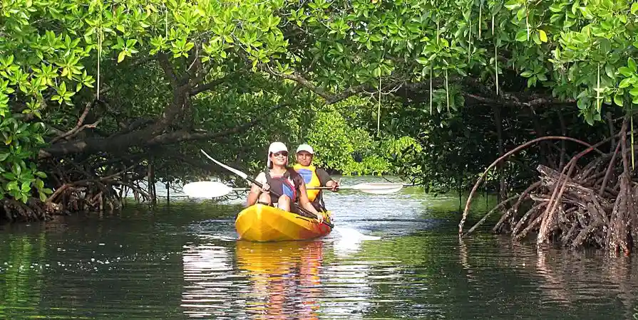 Kayaking