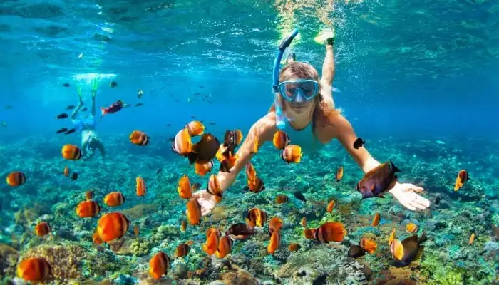 Snorkelling