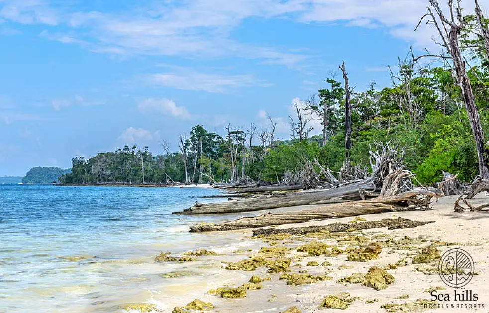 Havelock Island Guide: Places to Visit in 2024