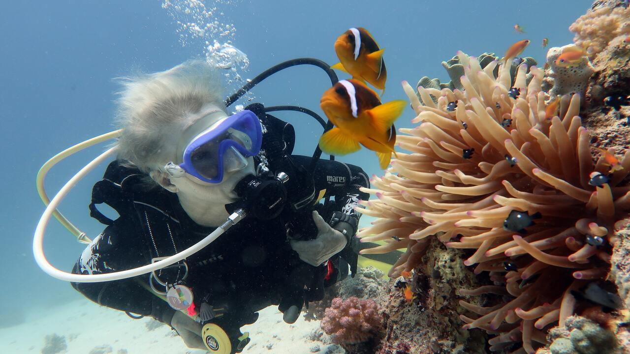 Scuba diving in Havelock Island