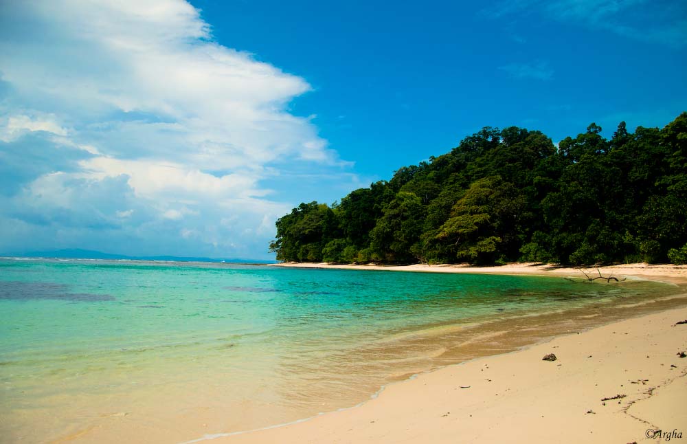 radhanagar beach in havelock island andaman